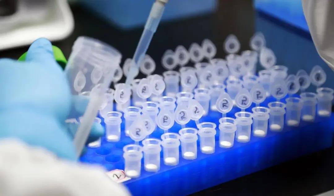 澳門博彩業(yè)深度研究，以新澳門資料大全為視角的探討